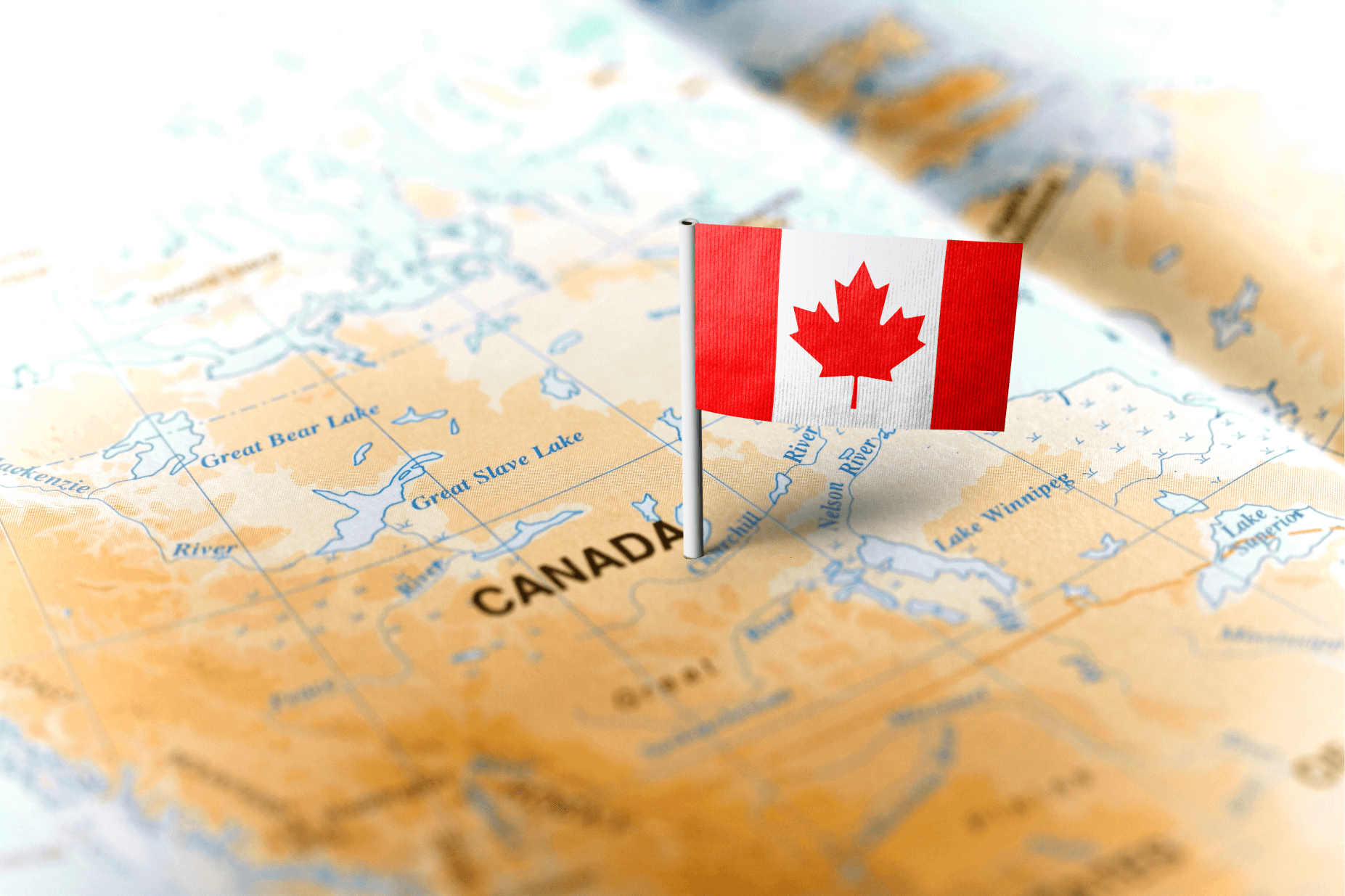best study visa consultant in mohali