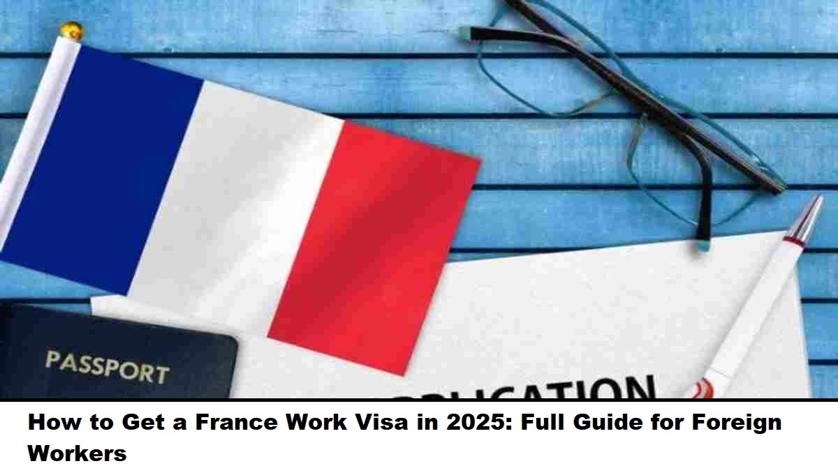 best visa consultants in mohali
