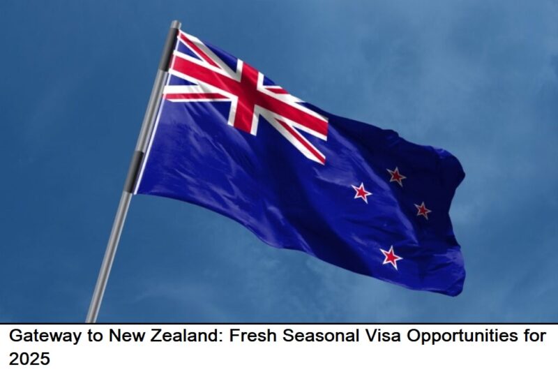 best immigration visa consultant in mohali