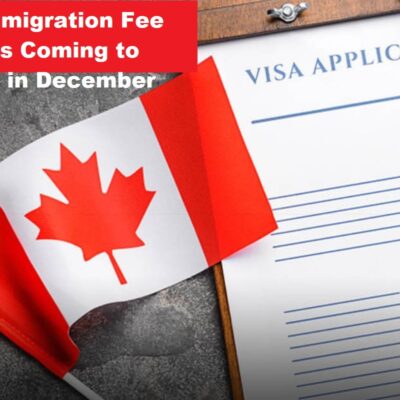 best immigration consultant in mohali