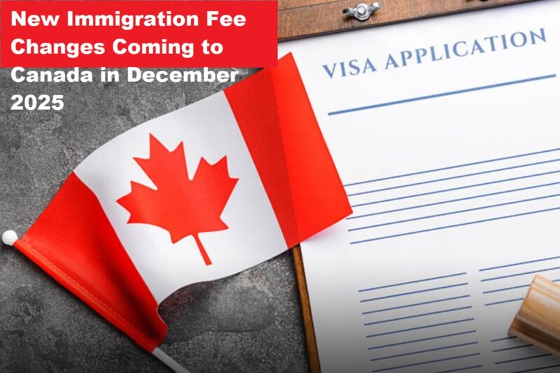 best immigration consultant in mohali