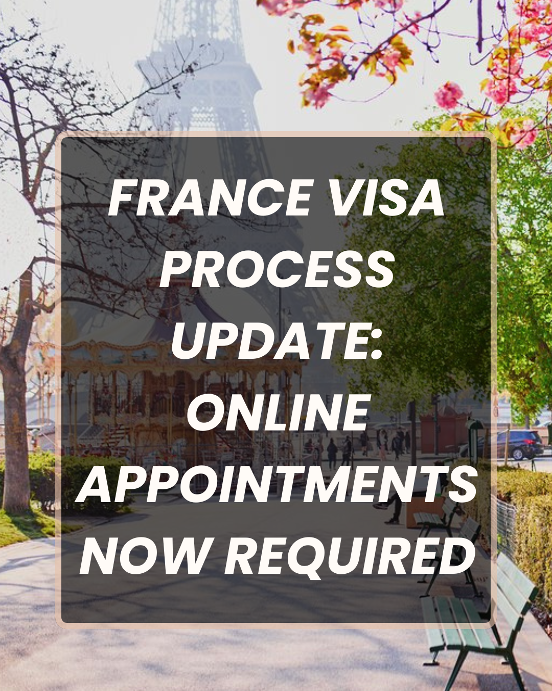 best visa consultant in mohali